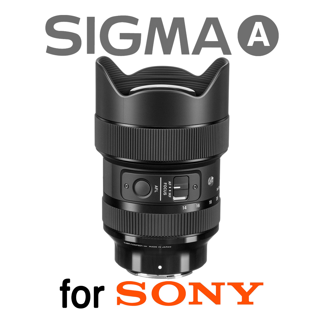 Sigma 14-24mm f/2.8 DG DN Art Lens for Sony E